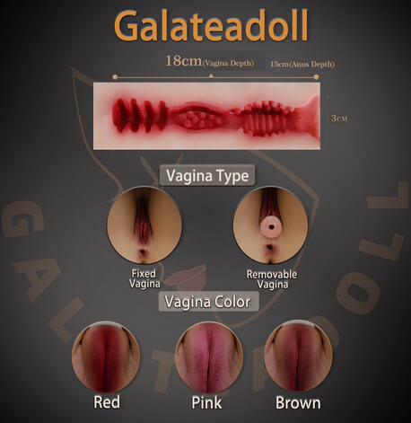 GTdoll Vagina Type&Color